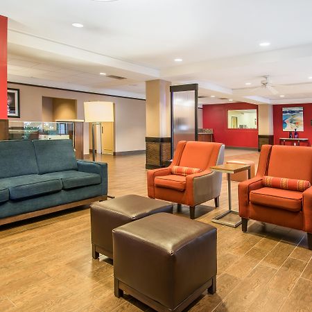 Comfort Inn & Suites Kissimmee By The Parks Four Corners Экстерьер фото